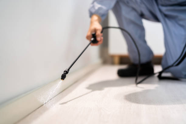 Professional Pest Control in Fitchburg, WI