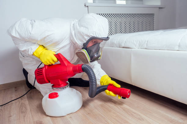 Best Flea Control Services  in Fitchburg, WI