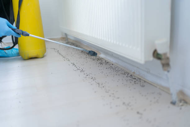 Professional Pest Control in Fitchburg, WI