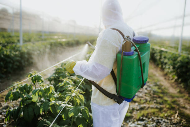 Best Ant Control Services  in Fitchburg, WI